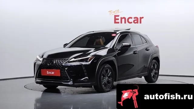 Lexus UX UX250h 2023 года - автомобиль из Южной Кореи