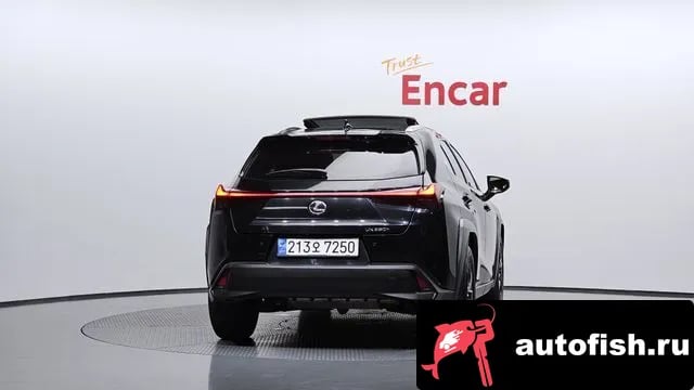 Lexus UX UX250h 2023 года - вид 4
