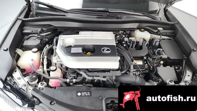 Lexus UX UX250h 2019 года - вид 6