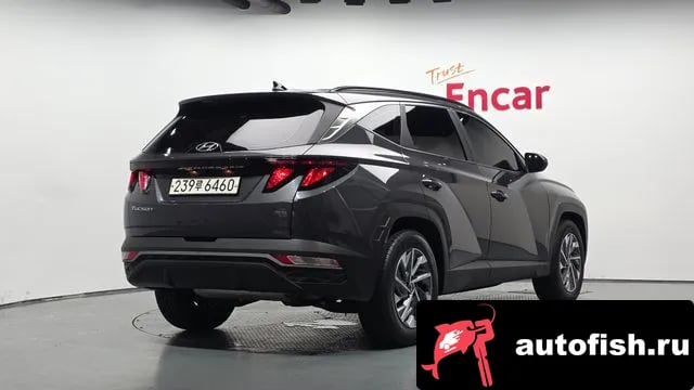 Hyundai Tucson Tucson Hybrid (NX4) 2022 года - вид 1