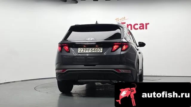 Hyundai Tucson Tucson Hybrid (NX4) 2022 года - похожие автомобили