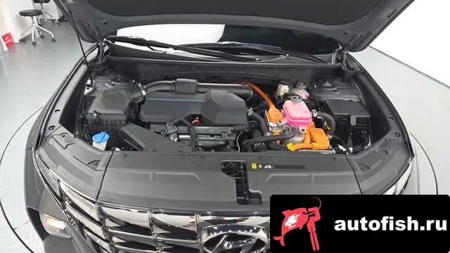 Hyundai Tucson Tucson Hybrid (NX4) 2022 года - вид 5