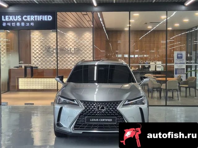 Lexus UX UX300h 2025 года - вид 3
