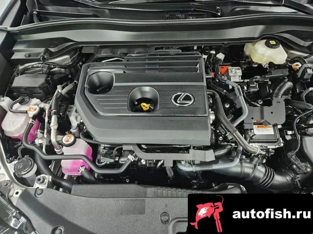 Lexus UX UX300h 2025 года - вид 6