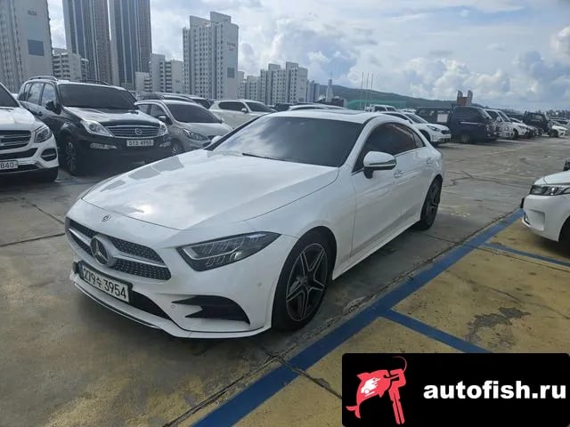 Mercedes-Benz CLS-Class CLS-Class C257 2019 года - вид 1