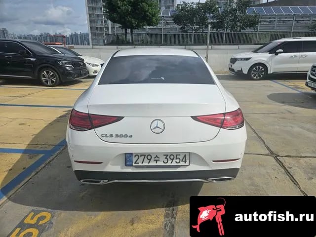 Mercedes-Benz CLS-Class CLS-Class C257 2019 года - вид 4