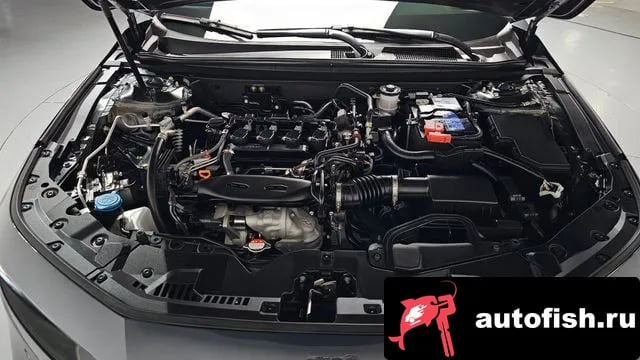 Honda Accord Accord 11th Generation 2025 года - вид 5