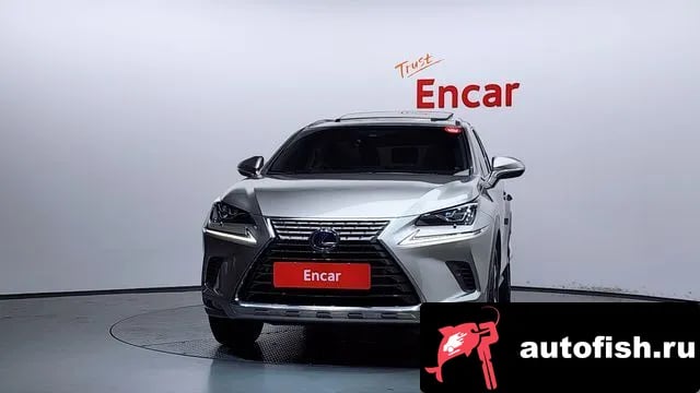 Lexus NX NX300h 2019 года - вид 3