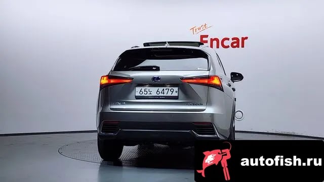 Lexus NX NX300h 2019 года - вид 4