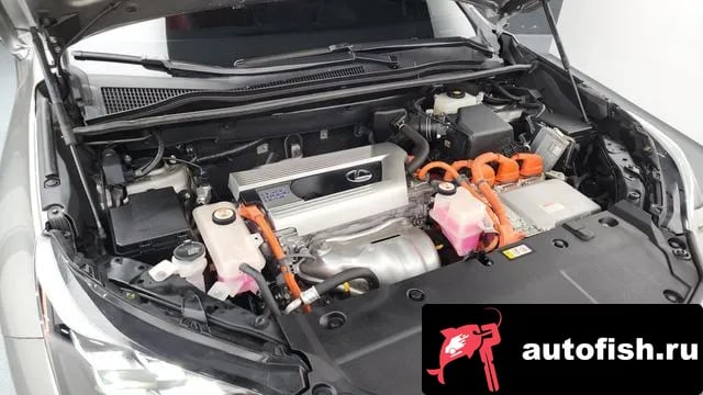 Lexus NX NX300h 2019 года - вид 6