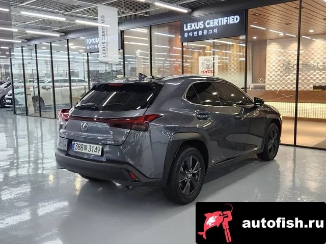 Lexus UX UX300h 2025 года - вид 2