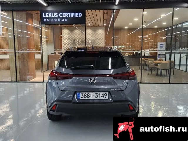Lexus UX UX300h 2025 года - вид 4