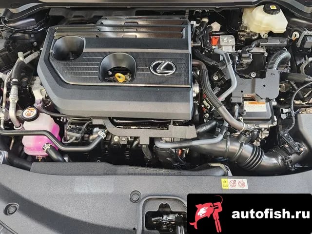 Lexus UX UX300h 2025 года - вид 6