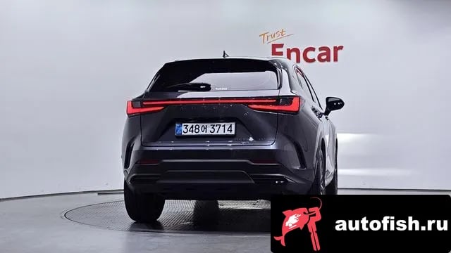 Lexus NX NX350h Second generation 2025 года - вид 4