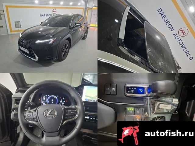 Lexus UX UX300h 2024 года - автомобиль из Южной Кореи