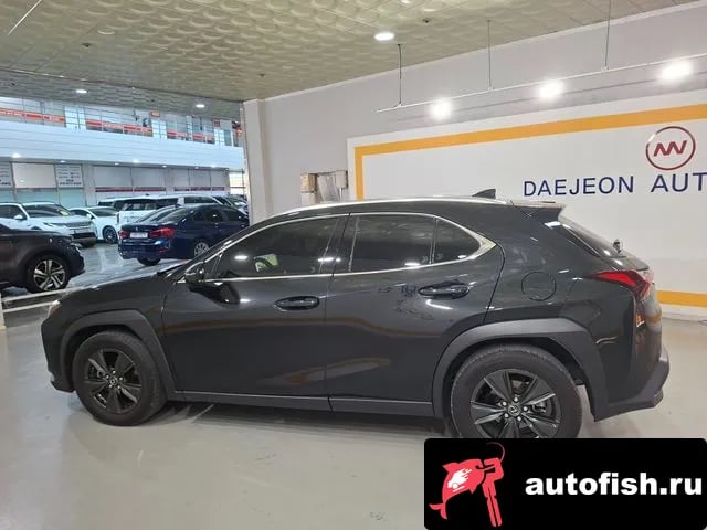 Lexus UX UX300h 2024 года - вид 3