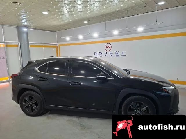 Lexus UX UX300h 2024 года - вид 5