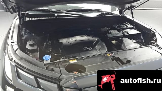 Hyundai Palisade The New Palisade 2023 года - вид 6