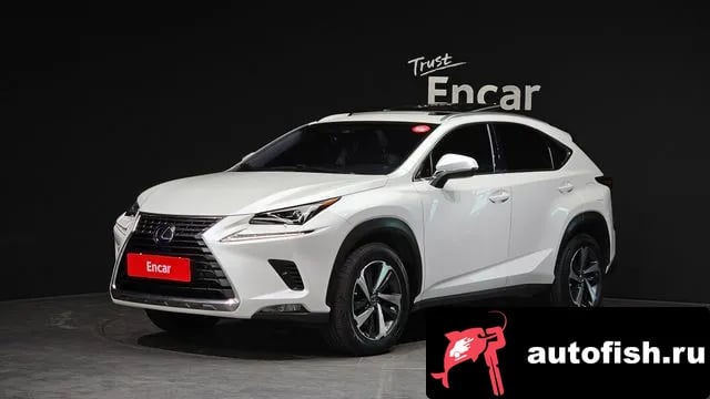 Lexus NX NX300h 2019 года - вид 1