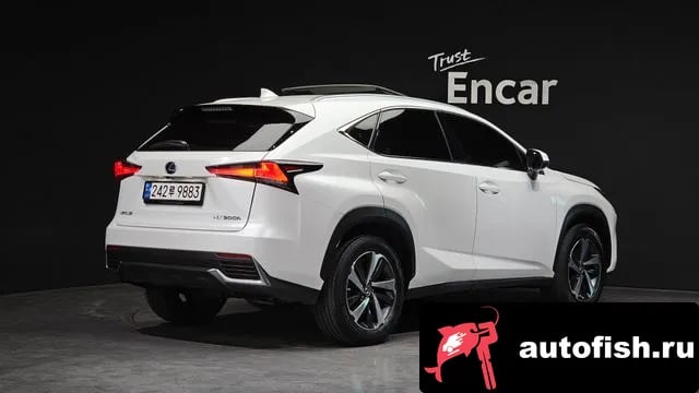Lexus NX NX300h 2019 года - вид 2