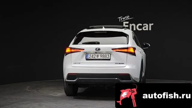 Lexus NX NX300h 2019 года - вид 4