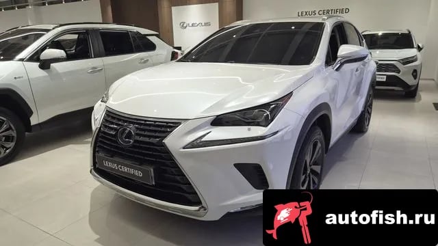 Lexus NX NX300h 2021 года - вид 1