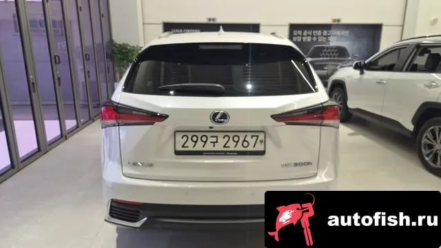 Lexus NX NX300h 2021 года - вид 4