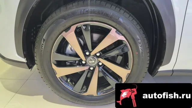 Lexus NX NX300h 2021 года - вид 5
