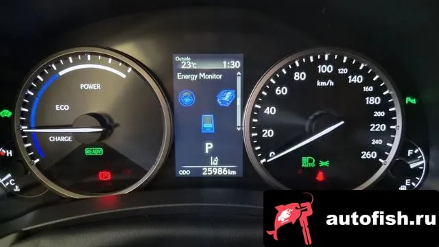 Lexus NX NX300h 2021 года - похожие автомобили