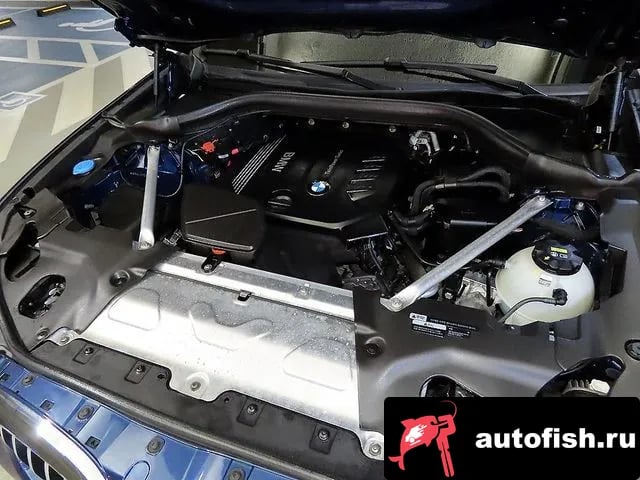 BMW X4 X4 (G02) 2019 года - похожие автомобили