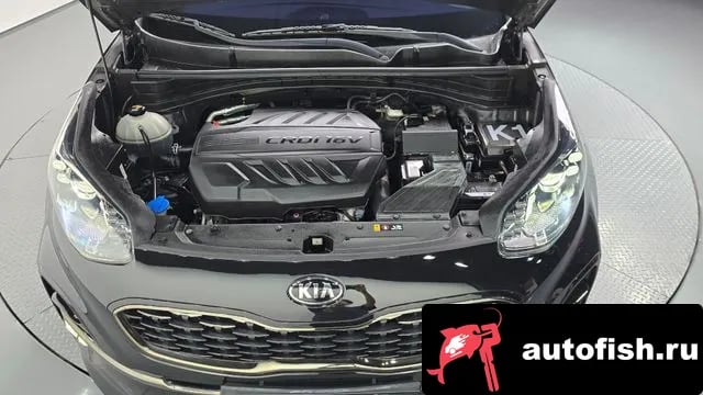 Kia Sportage Sportage The Bold 2019 года - вид 6
