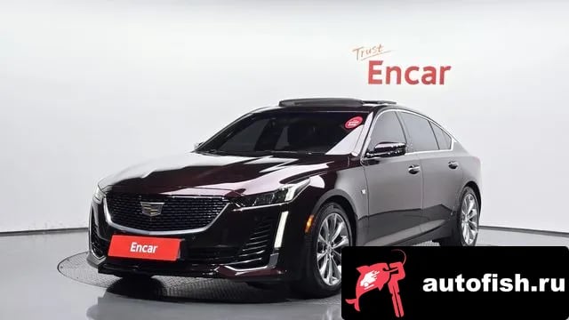 Cadillac CT5 CT5 2021 года - автомобиль из Южной Кореи