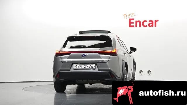 Lexus UX UX250h 2019 года - вид 4