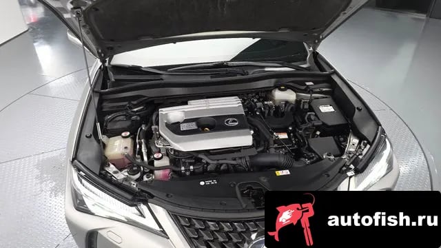 Lexus UX UX250h 2019 года - вид 6