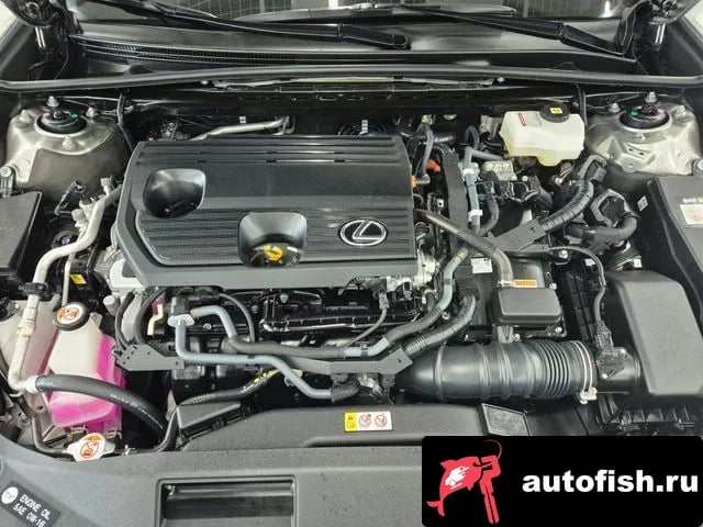 Lexus ES ES300h 7th generation 2025 года - вид 6