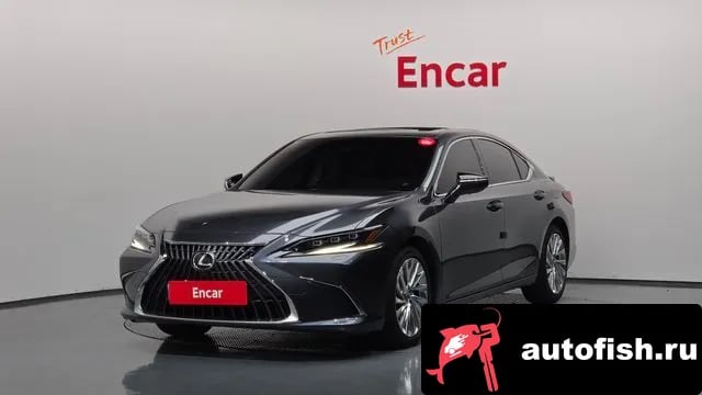Lexus ES ES300h 7th generation 2024 года - вид 1