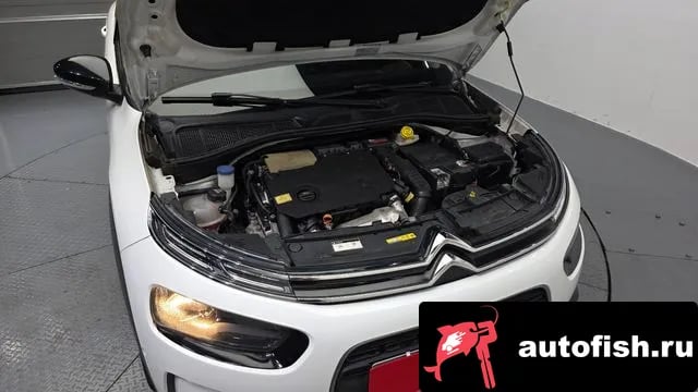 Citroen-DS C4 CACTUS C4 Cactus 2019 года - вид 6