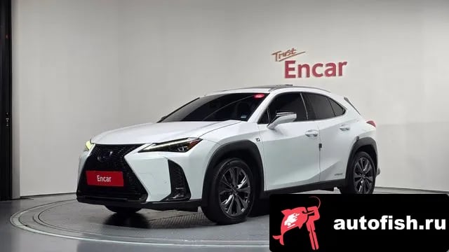 Lexus UX UX250h 2020 года - вид 1