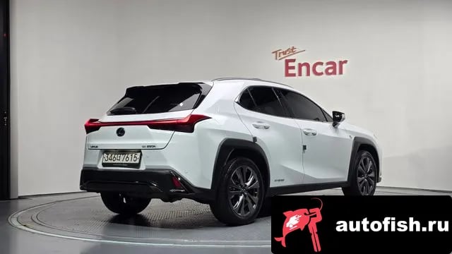 Lexus UX UX250h 2020 года - вид 2