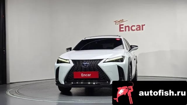Lexus UX UX250h 2020 года - вид 3