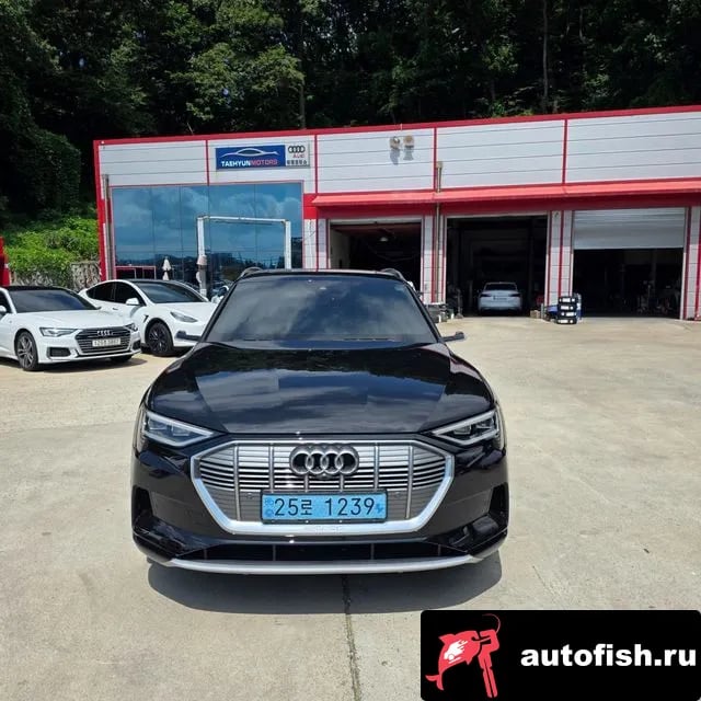 Audi e-tron e-Tron 2020 года - вид 1