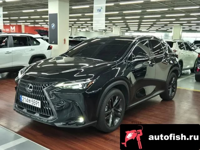 Lexus NX NX350h Second generation 2025 года - вид 1