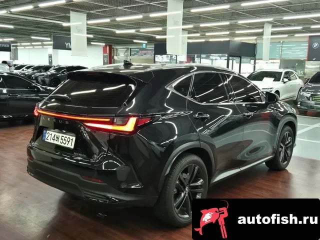 Lexus NX NX350h Second generation 2025 года - вид 2