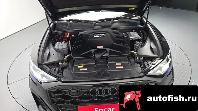 Audi Q8 Q8 (4M) 2025 года - вид 6