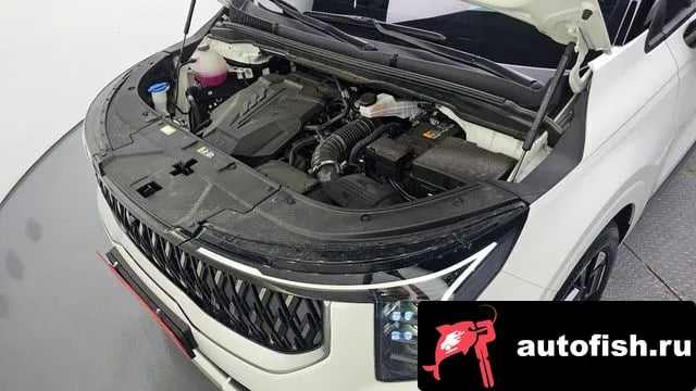Kia Carnival The New Carnival 4th Generation 2024 года - вид 6