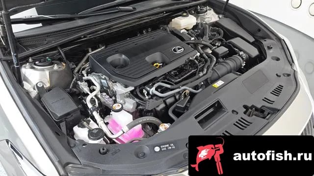 Lexus ES ES300h 7th generation 2022 года - вид 6