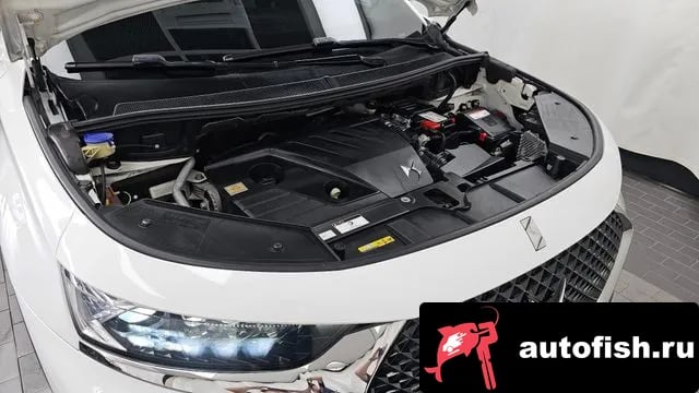 Citroen-DS DS7 DS7 Crossback 2019 года - вид 6
