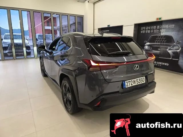 Lexus UX UX300h 2025 года - вид 2
