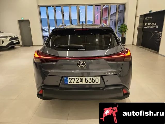 Lexus UX UX300h 2025 года - вид 4
