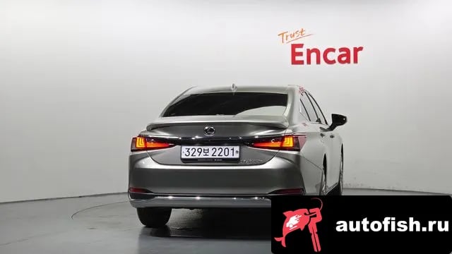Lexus ES ES300h 7th generation 2023 года - вид 4